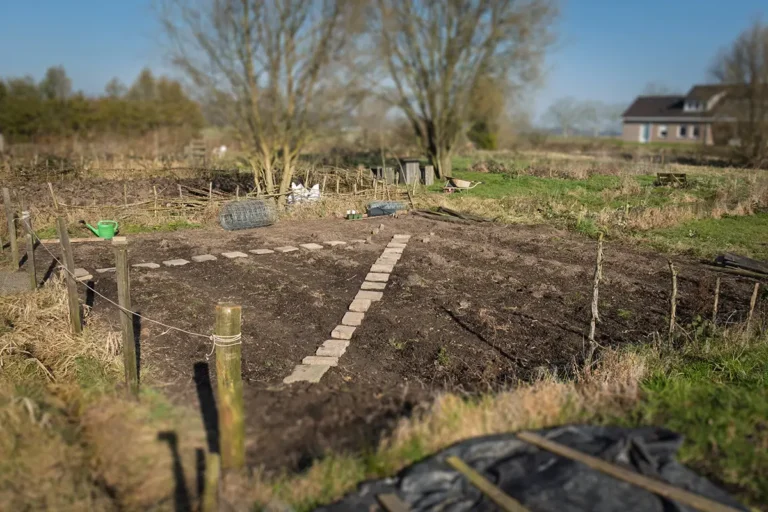 bare allotment with pavers