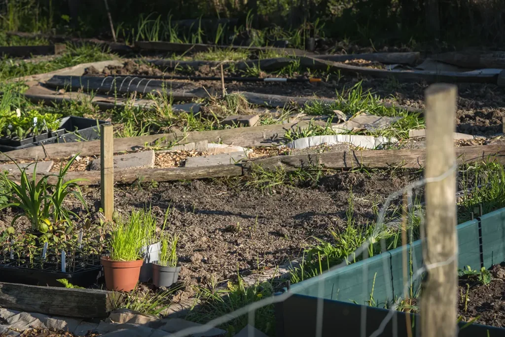 allotment April 206