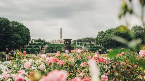 The rose garden at Vigeland Sculpture Park in Oslo