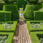 French garden design ideas: box hedging