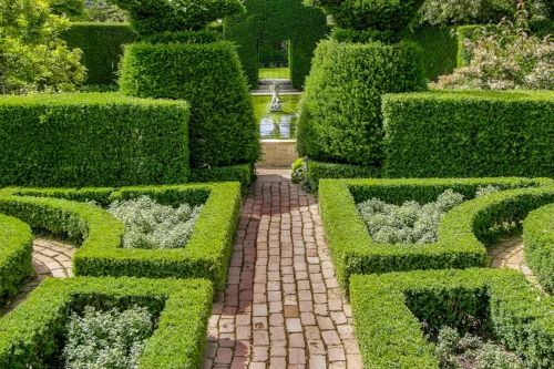 French garden design ideas: box hedging