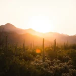Saguaro National Park Arizona
